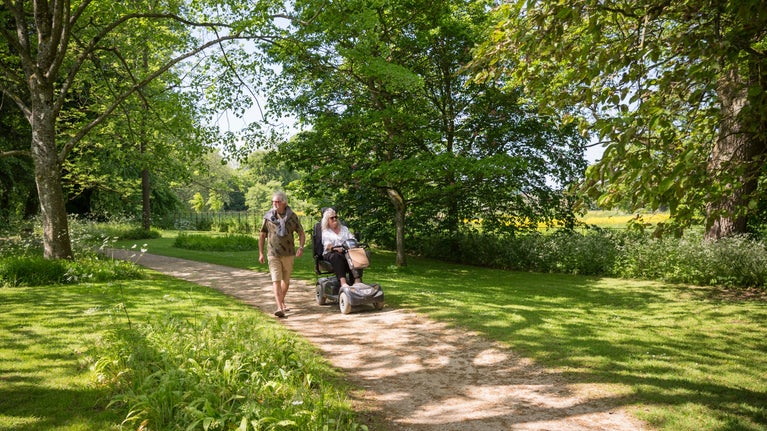 Visitors on a path in the Woodland during summer at Lacock Abbey. The sun is shining through the trees and dappled shadow is across the floor.